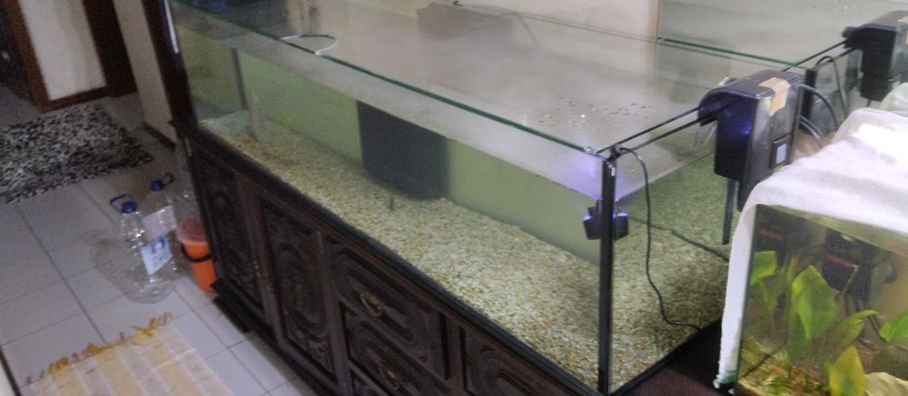 Aquario grande com filtros tudo novo