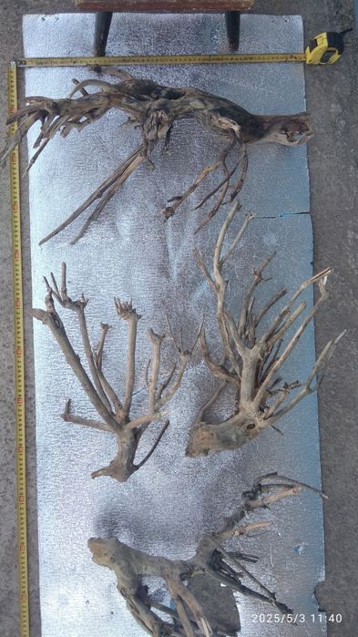 Коряга в аквариум