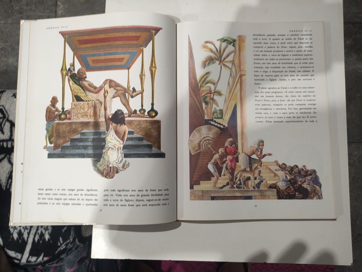 Livro Grande Bíblia Ilustrada