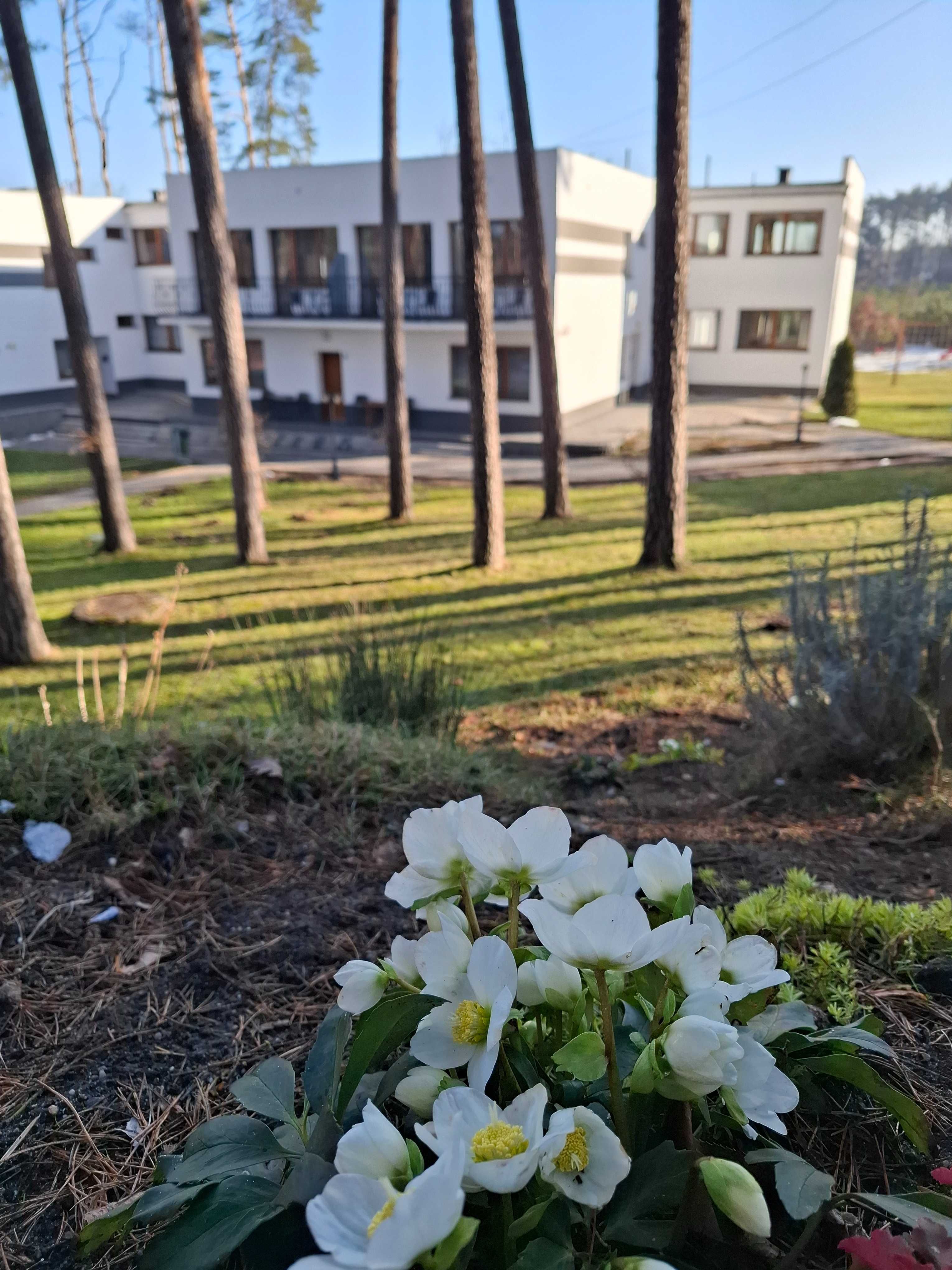 Nocleg Turawa, obok Opole