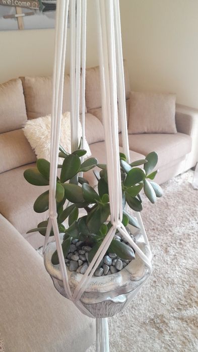 Suporte para plantas