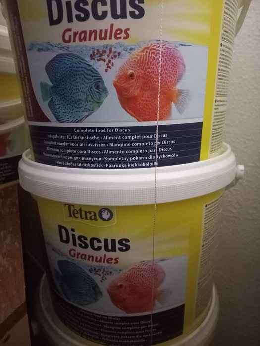 Укриття, трубки, домівки для риб анцитрусів