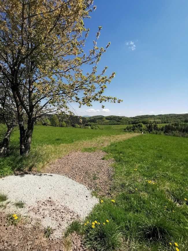 Działka w Górach Sowich w okolicy Walimia / Michałkowej
