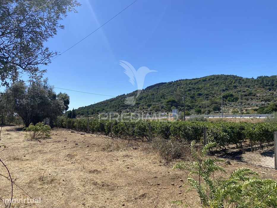 Terreno Urbano com 5000mts2, em Portalegre