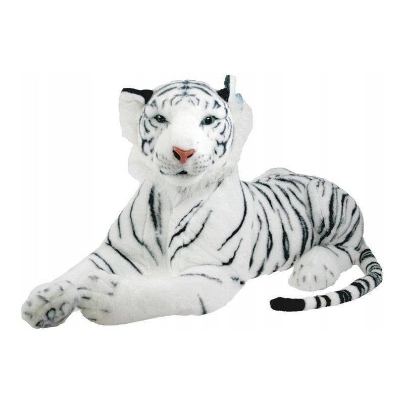Tygrys Biały 60cm, Dubi