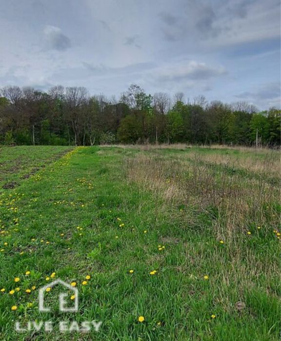 Продаж земельної ділянки в с. Велика Березовиця