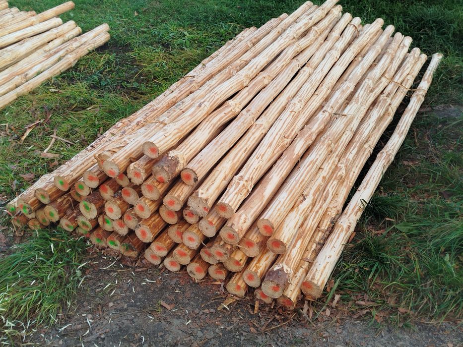 Słupki ogrodzeniowe paliki sosnowe korowane