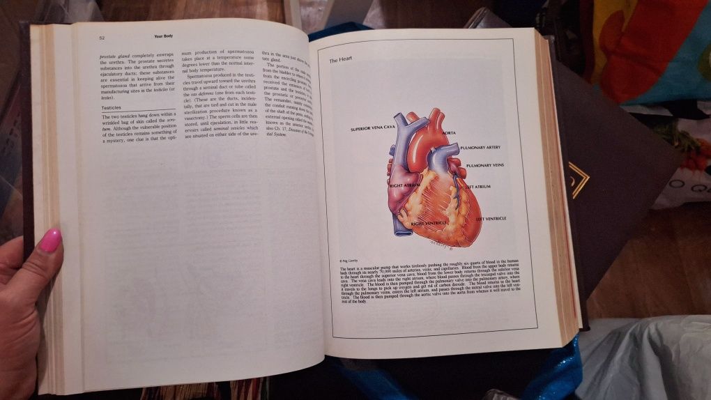 The New Standard Encylopedia