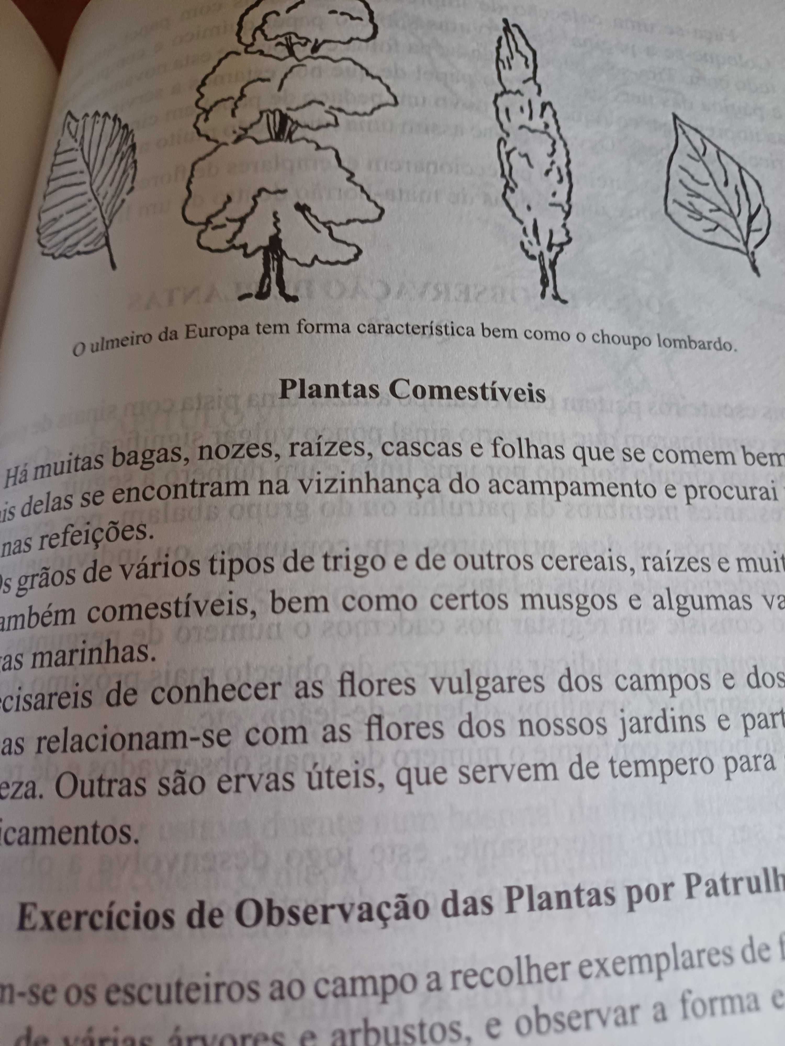 Escutismo para Rapazes por B-P