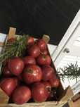 Fruta da época, Marmelos, Figos da Índia, Diospiro (mole)Nêsperas bio