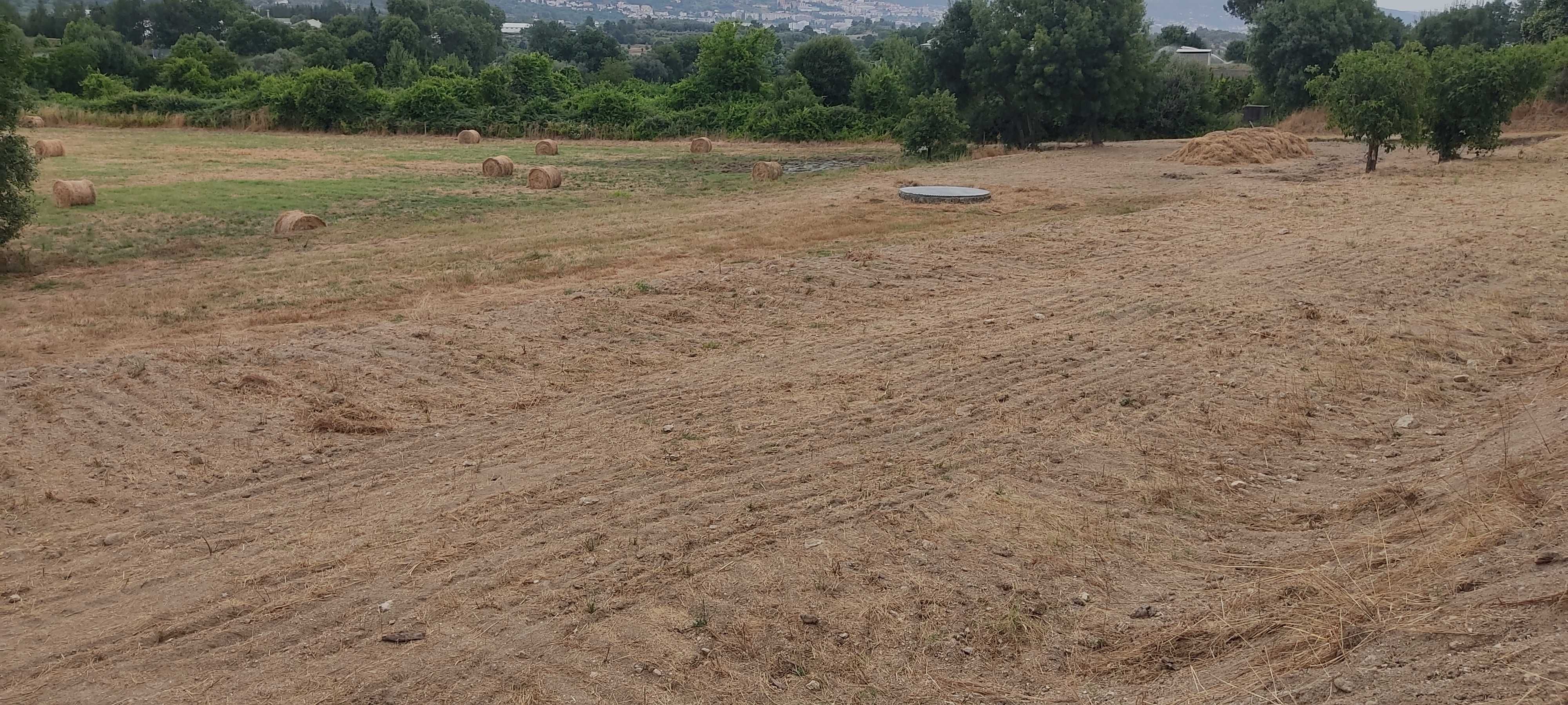 Arrenda-se terreno agrícola