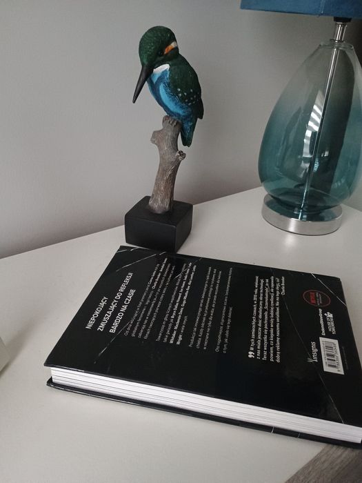 Czarne lustro  nie tylko  dla fanów