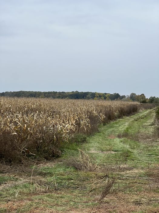 Продаються земельні ділянки