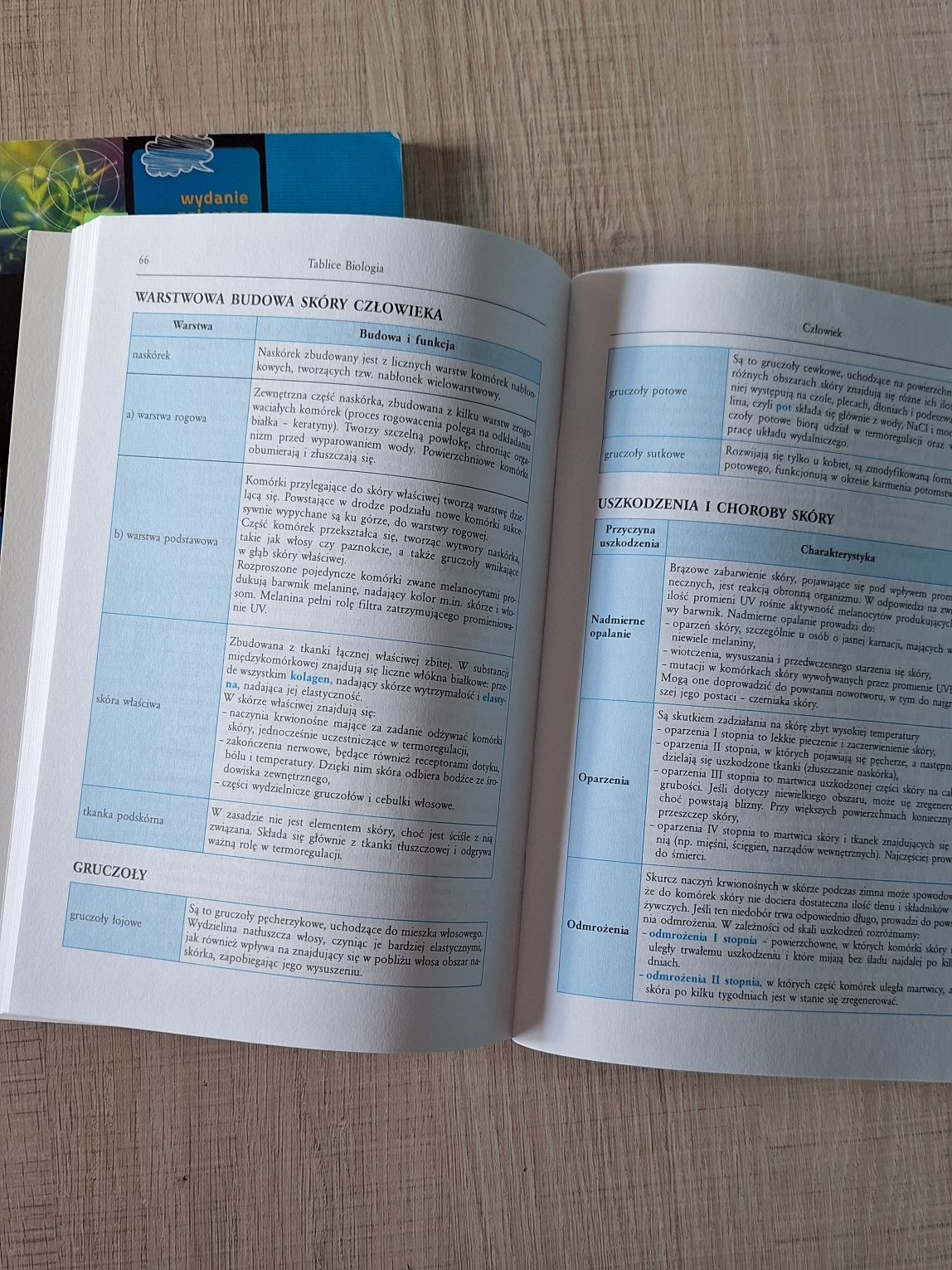 szkolne tablice matematyczne i biologiczne