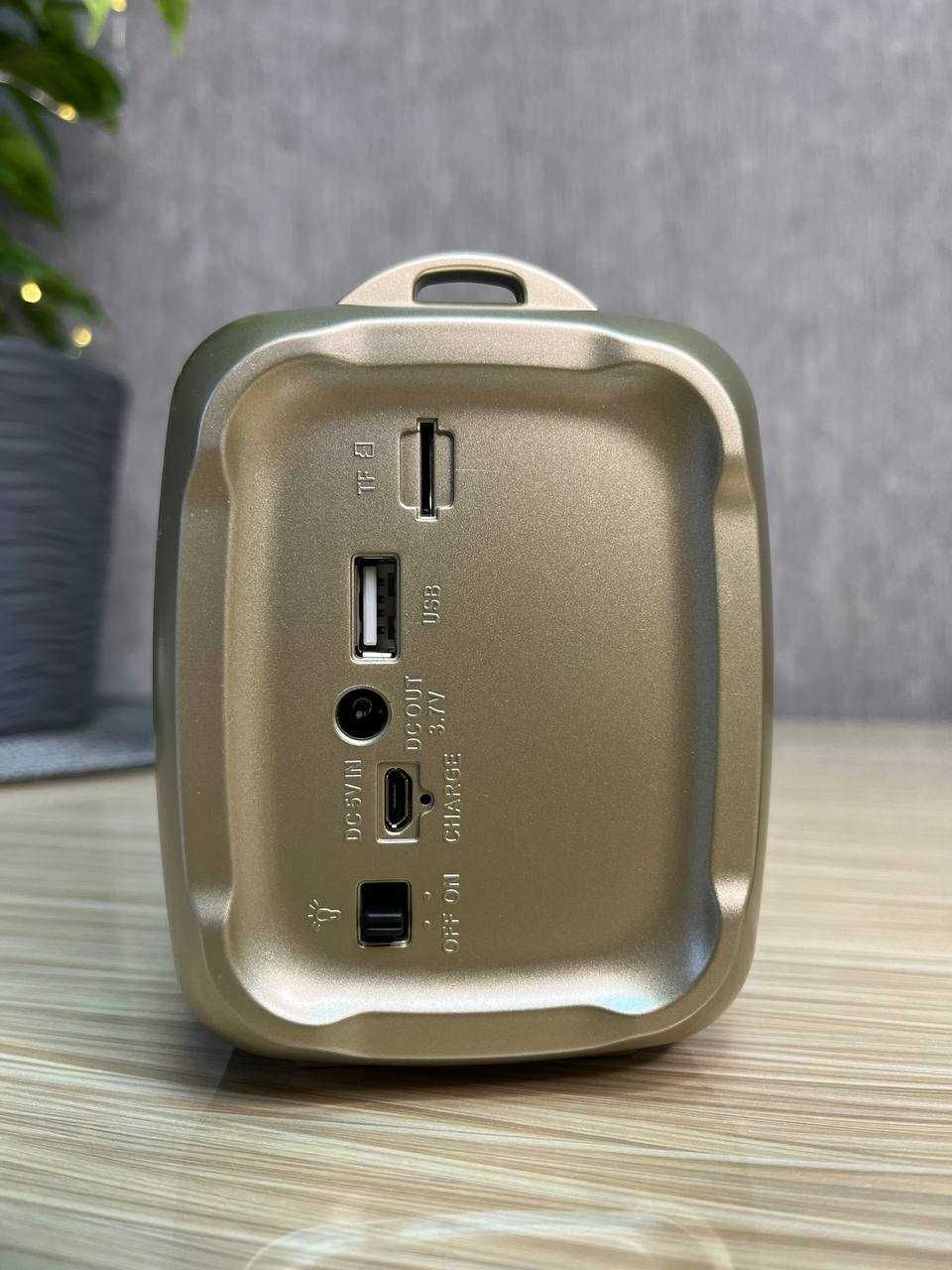 Радиоприемник со съемным аккумулятором с Bluetooth, USB, SD, Радио