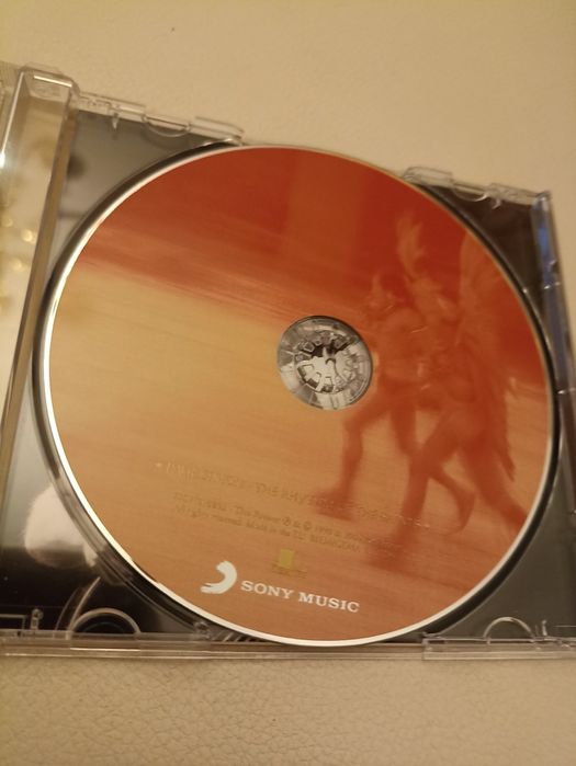 Paul Simon - The Rhythm of