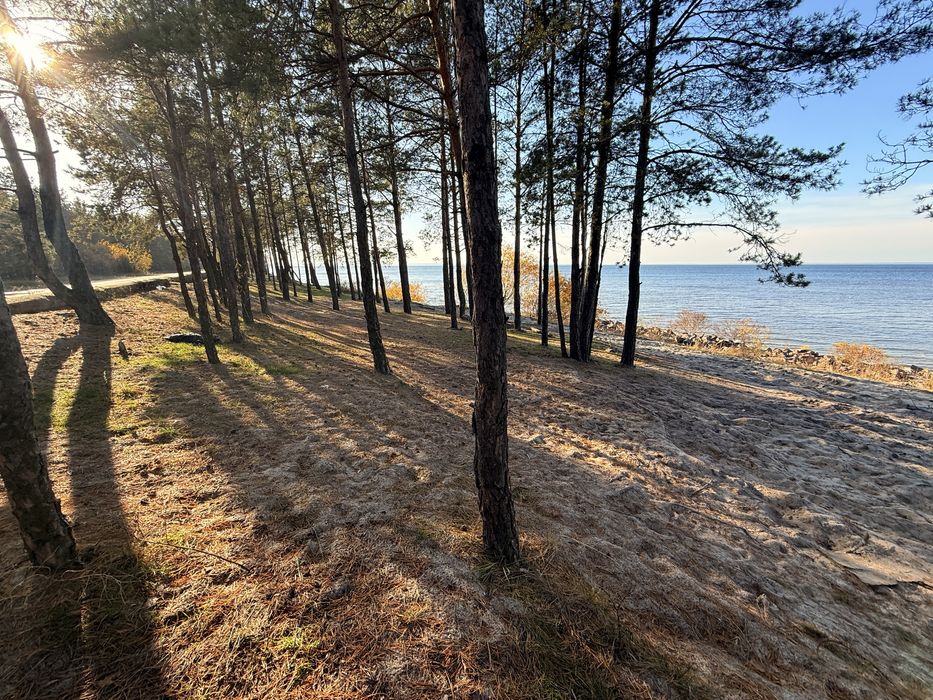 22 сот біля канала з рибою газ в 5 метрах до столиці 25км біля моря