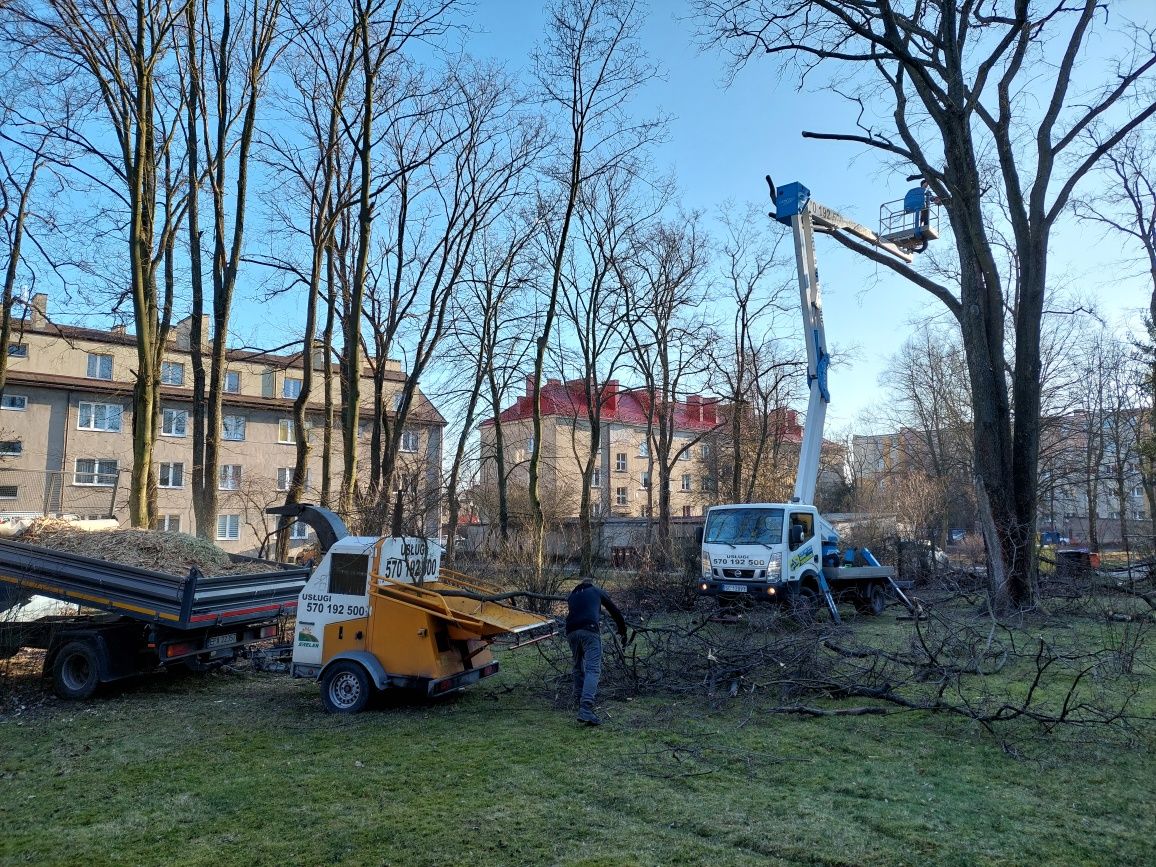 usługi podnośnikiem zwyżka podnośnik koszowy wynajem