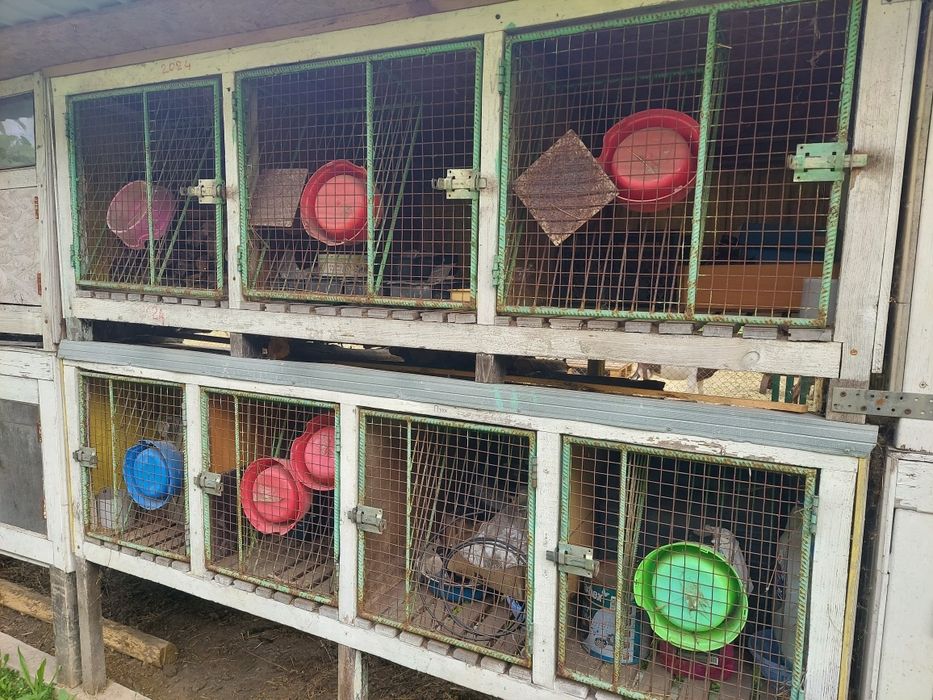 Продам гарні кролячі клітки б / у