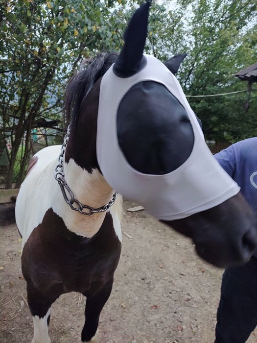 Маска від мух для коней Cob