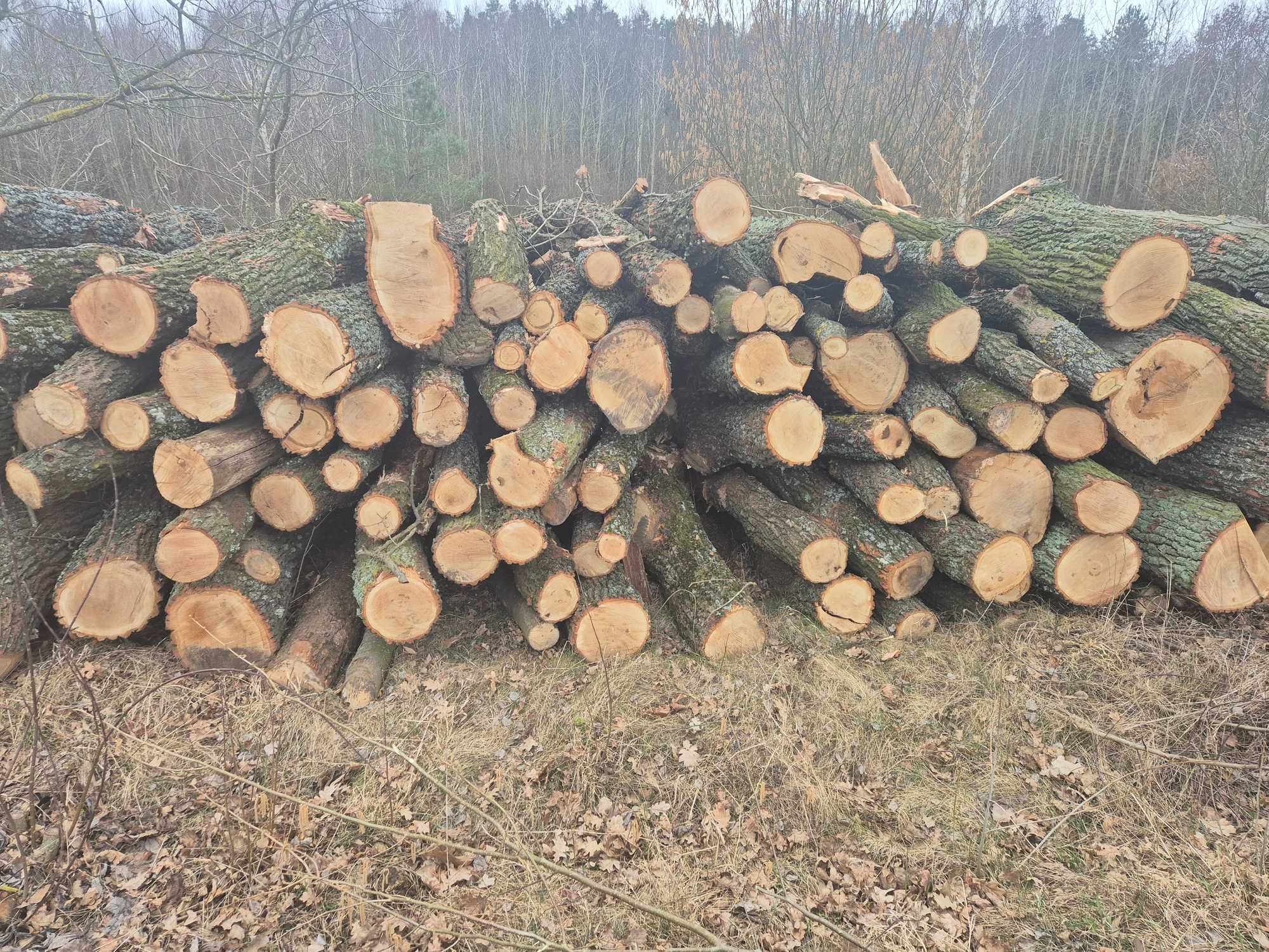 Drewno opałowe tartaczne Dąb S2a opał
