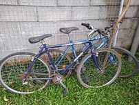 Bicicleta de adulto