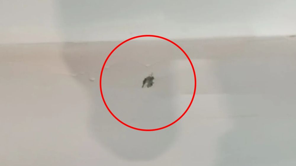 Porta trás direita PEUGEOT 508