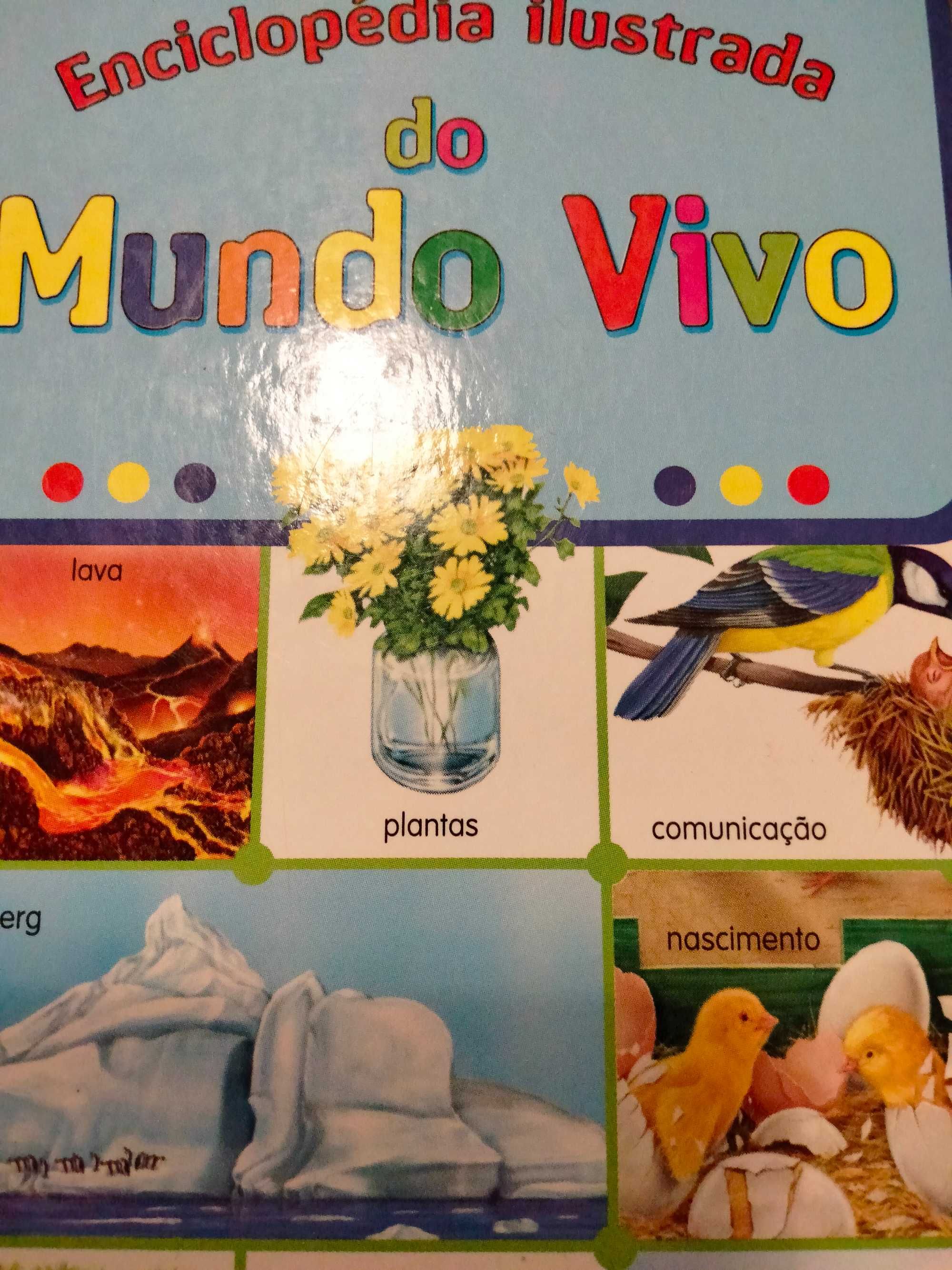 Livro enciclopédia ilustrada do mundo vivo