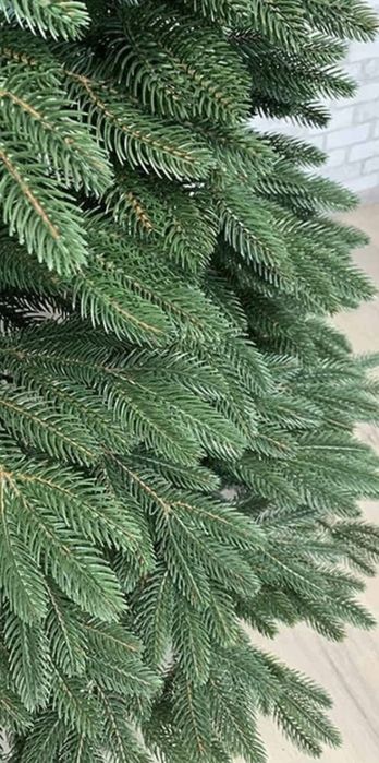 Ялинка Бельгійска 1,8м лита
