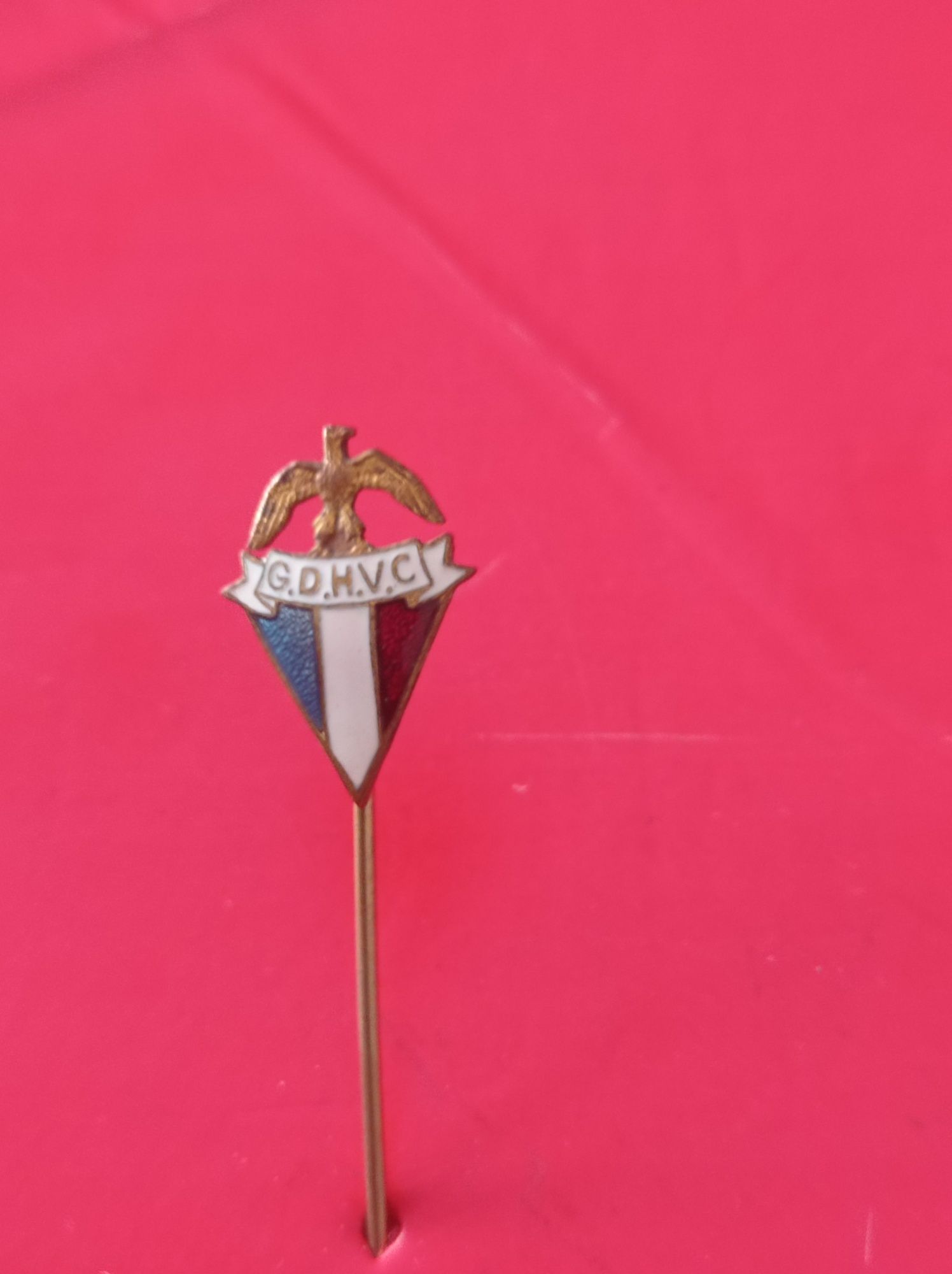 Pins ou alfinete