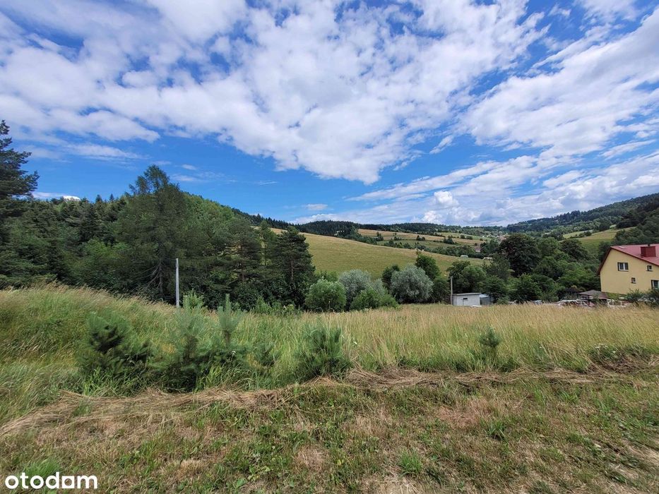 Krynica Zdrój - Krzyżówka,  bud, 14 ar