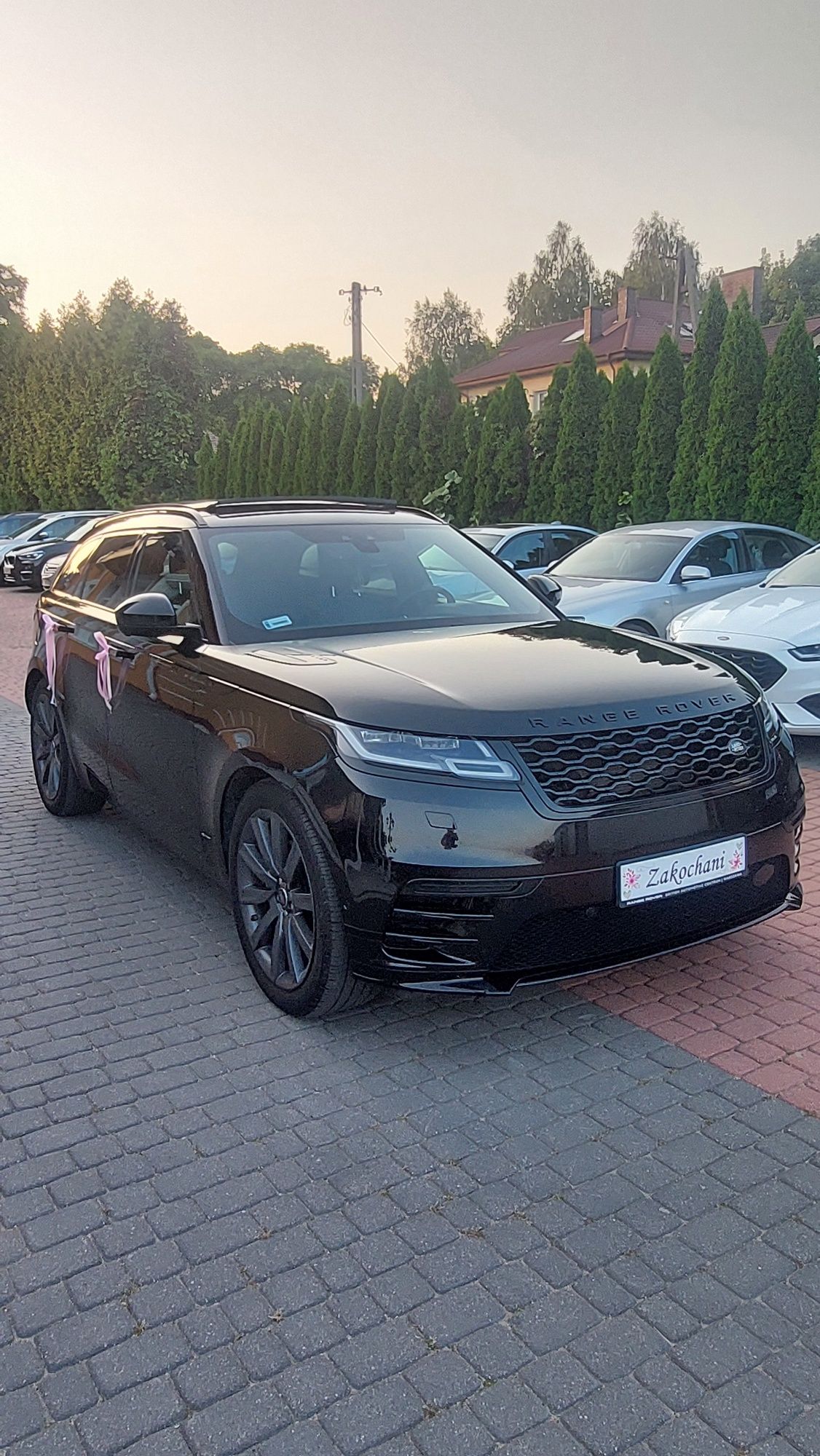 Auto do ślubu wynajem Range Rover Velar