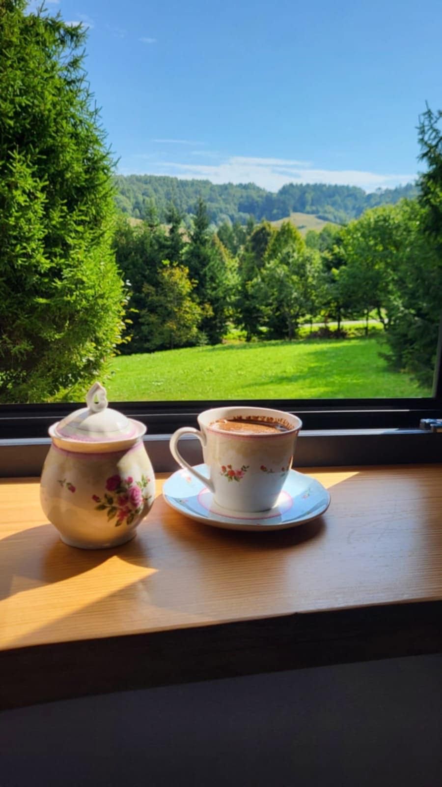 Dom do wynajęcia Bieszczady ,,Brzozowy Gaj”