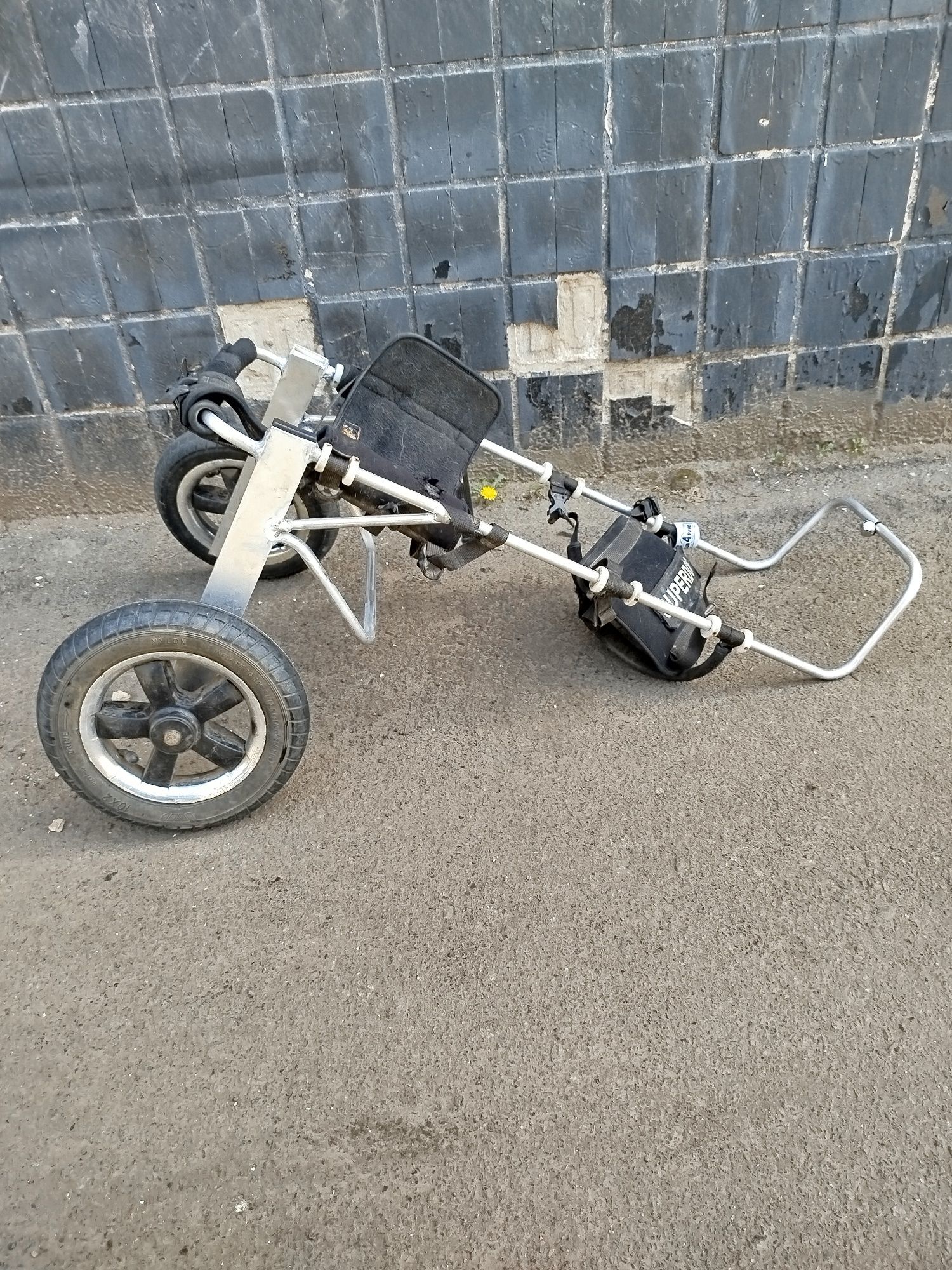 Изготовление инвалидных колясок для собак Инвалидная коляска для собак