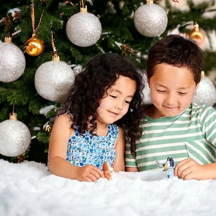 Zestaw Figurek Z Bajki Bluey & Family Rodzina Bingo Radosna Zabawa 4 S