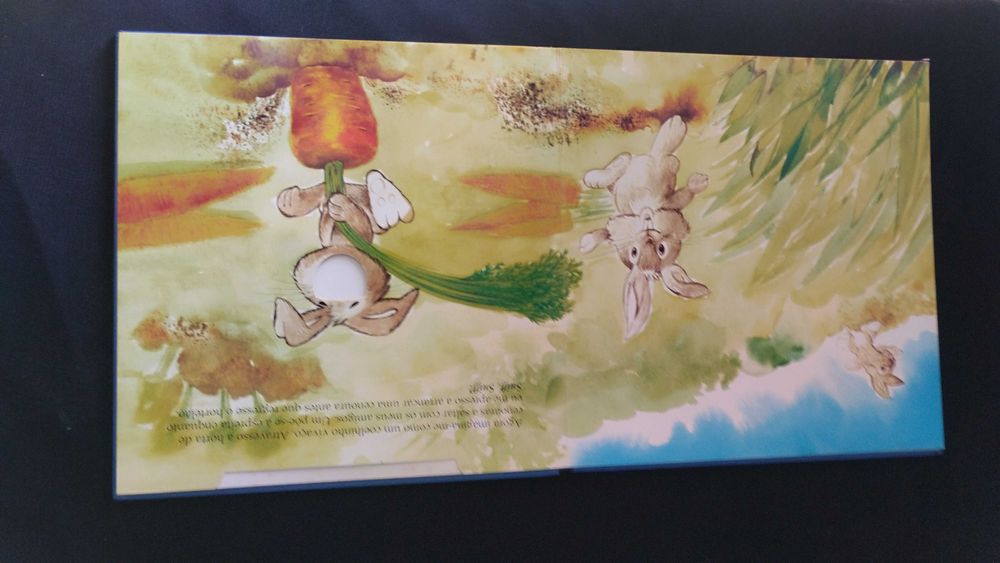 Livro de crianças com desenhos para pôr fotos da criança 15 euros