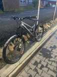 Dartmoor bluebird 2022 custom