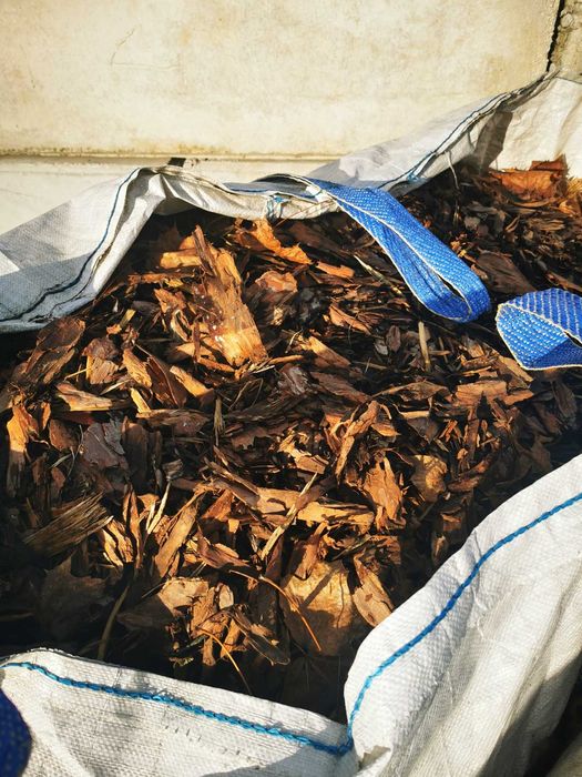 Kora sosnowa w Big bagach