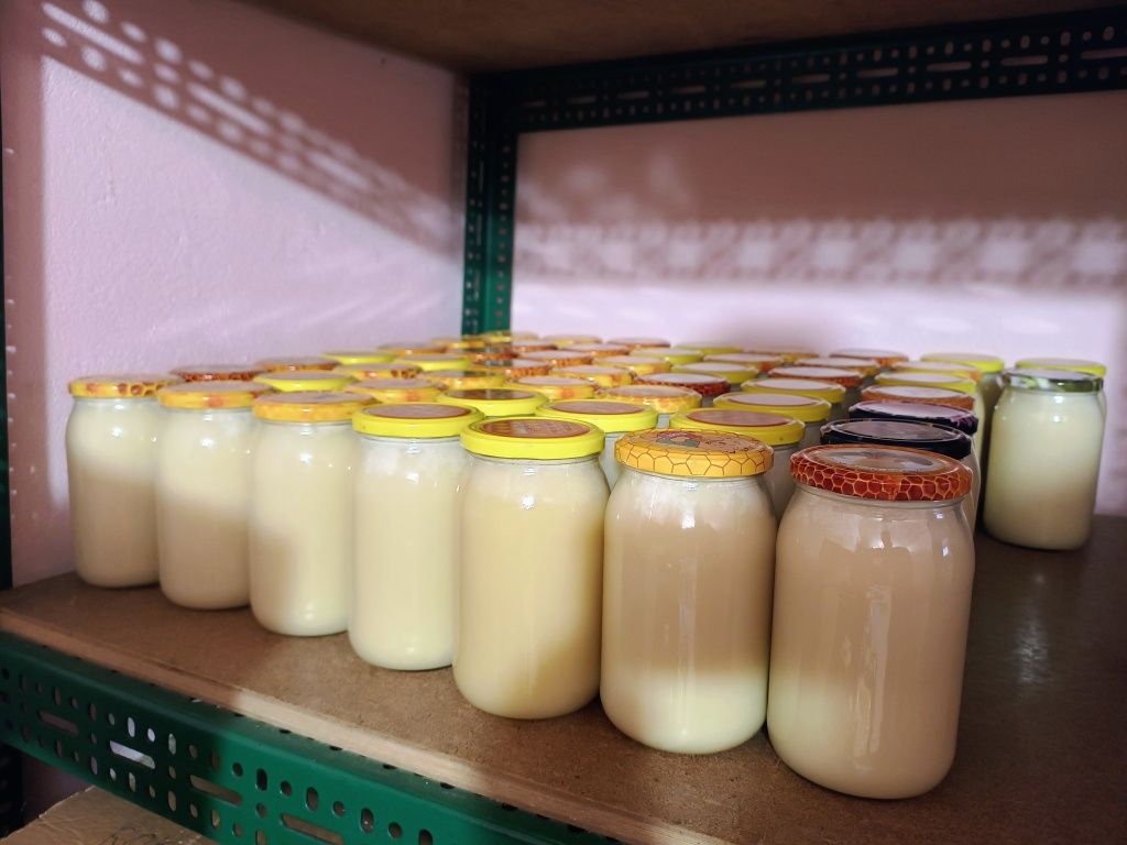 Miód Rzepakowy Mniszkowy Rzepakowo Mniszkowy zbiór 2025r, słoik 0,9L