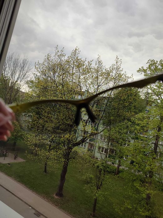 Okulary Shimano CE-EQX2