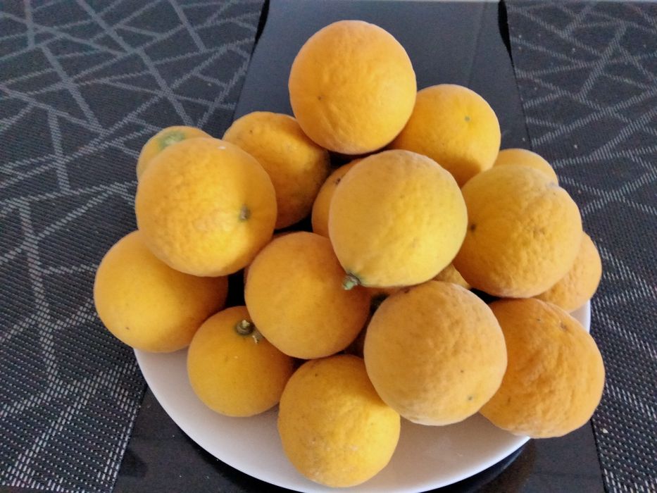 Limão Yuzo Oriental