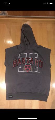 T-Shirt Harvard Berskha