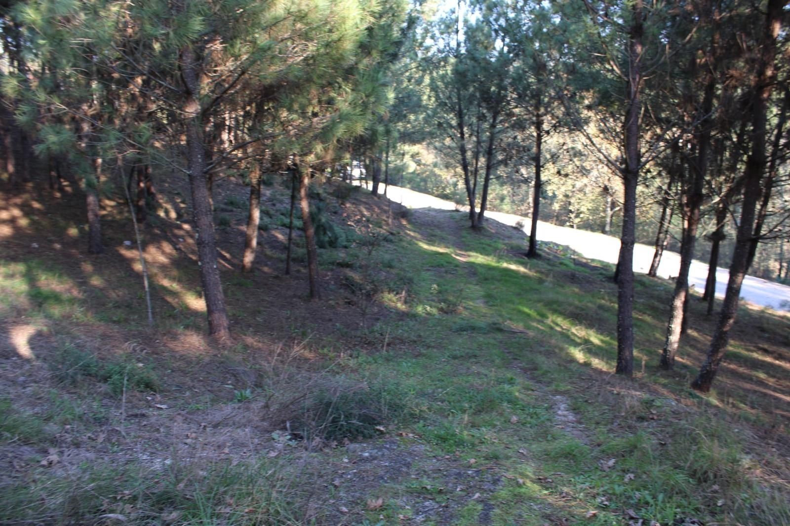 Terreno Grilo Baião
