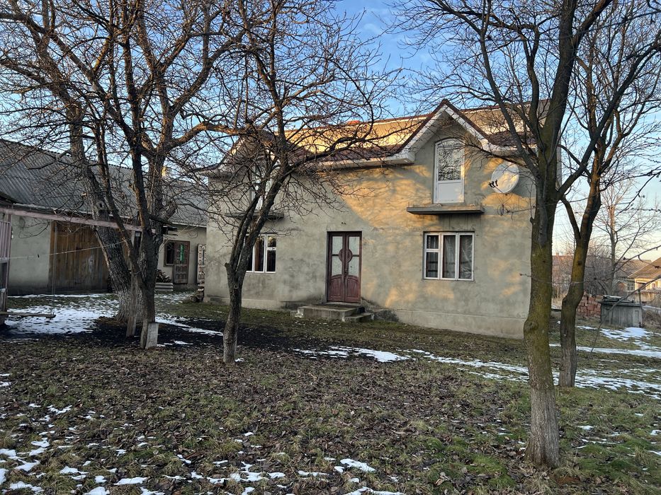 Господарство в центрі села