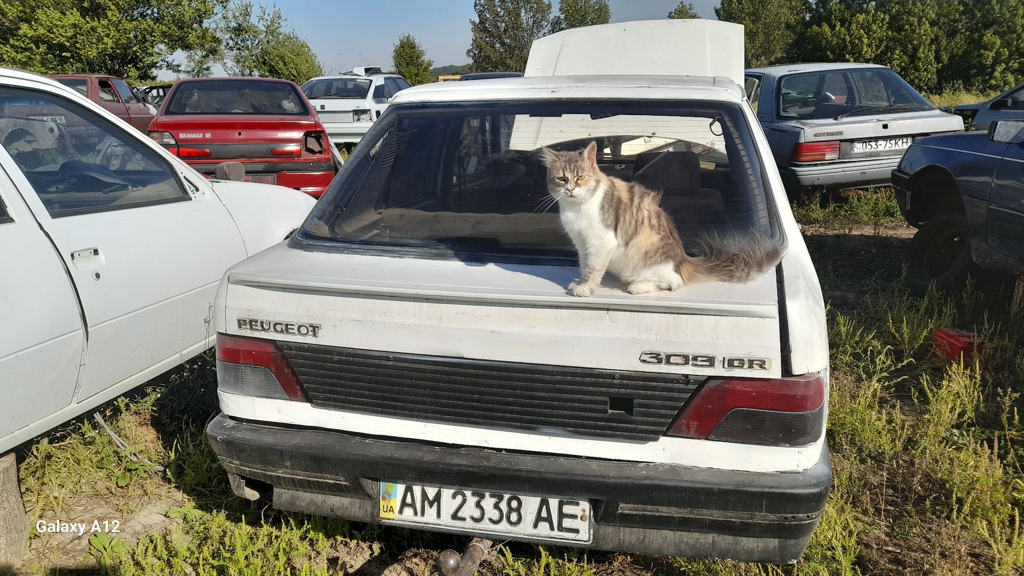 КПП Пежо 309 бензин  1.3