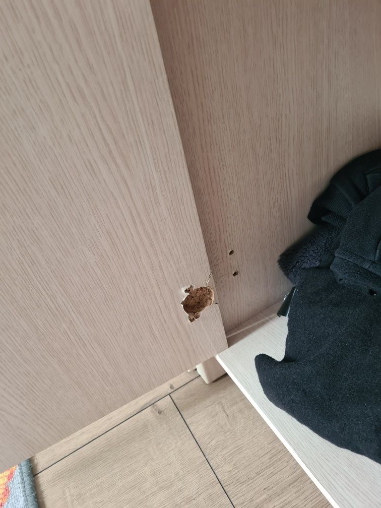 Zestaw mebli dziecięcych młodzieżowych