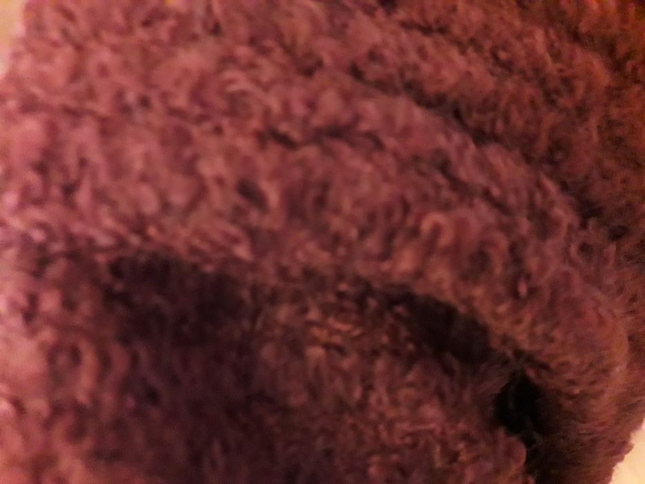 Tkanina boucle na wąską spódnicę włoska 66 cm