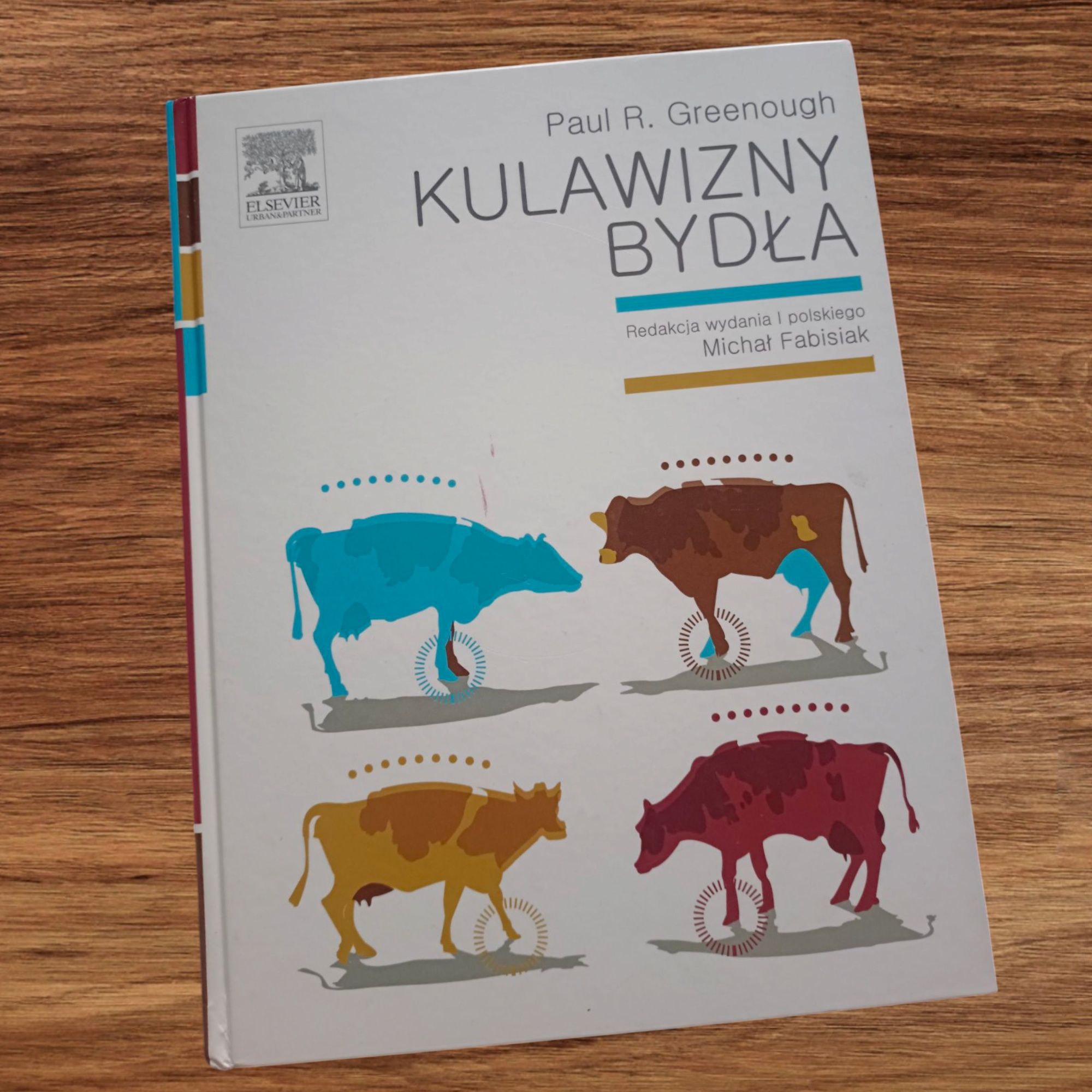 Kulawizny bydła weterynaria krowy lekarz weterynarii