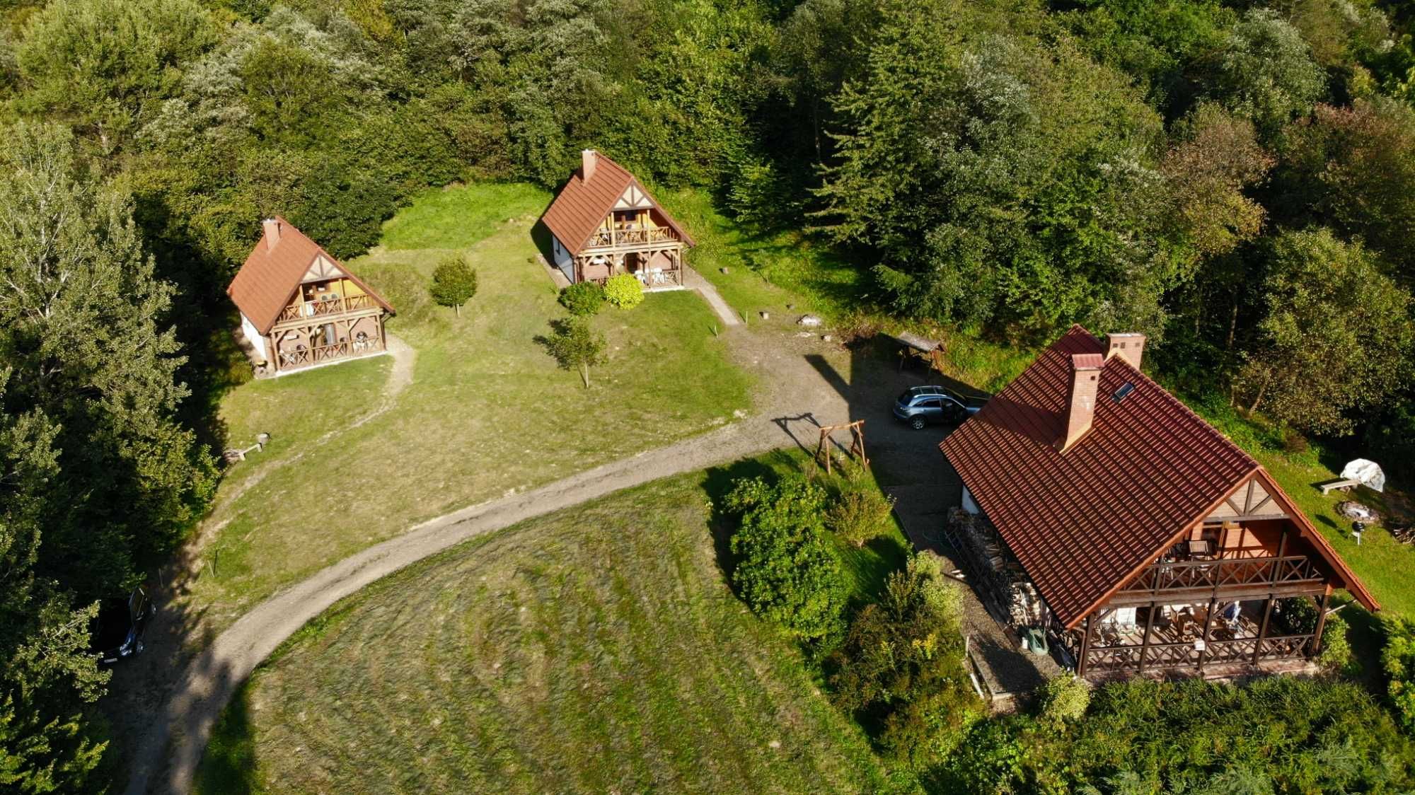 Pełne relaksu wakacje w Bieszczadach Solina, woda, las, rodzina z psem
