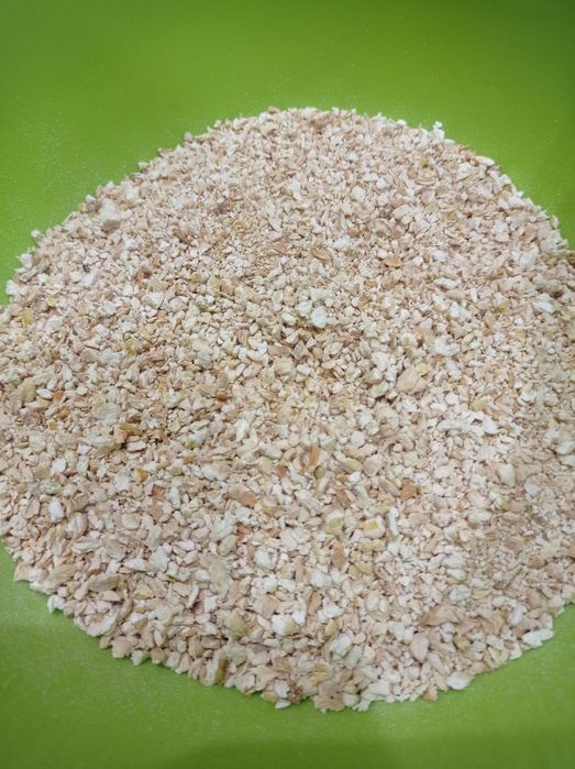 Трутовик серно-желтый